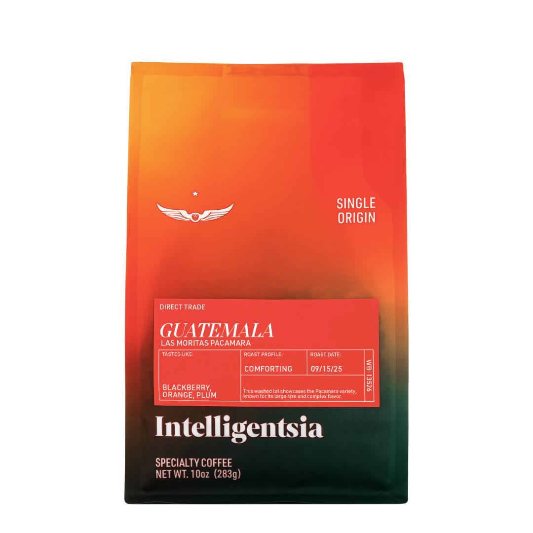 Guatemala Las Moritas Pacamara