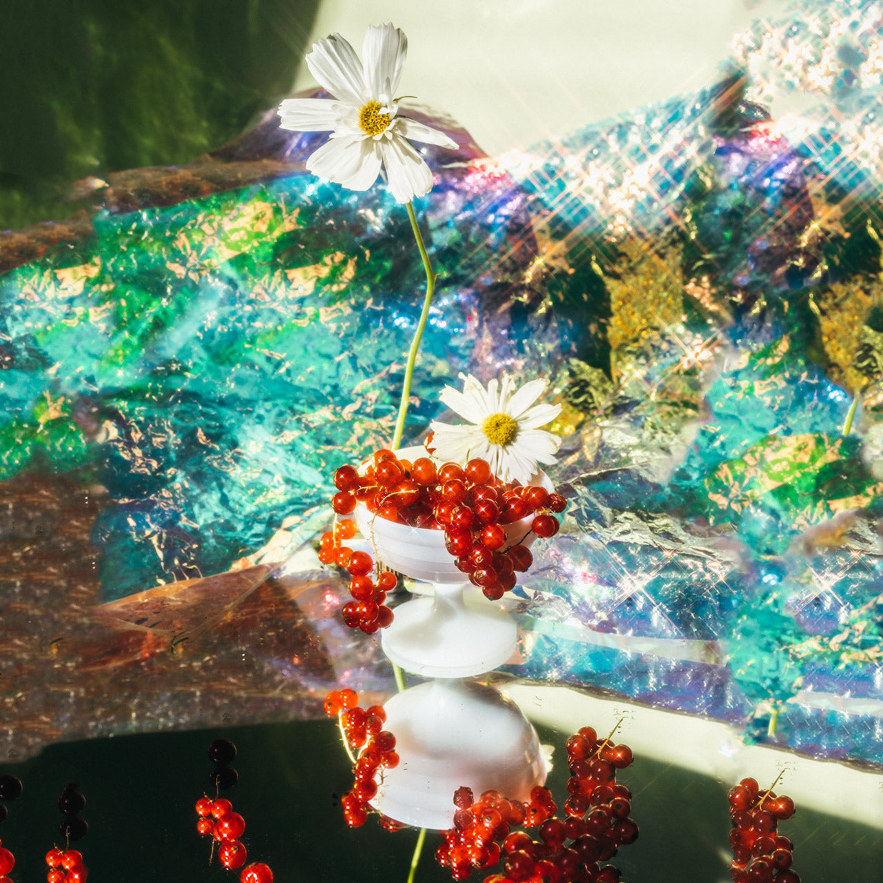 Colombia La Mina Anaerobic