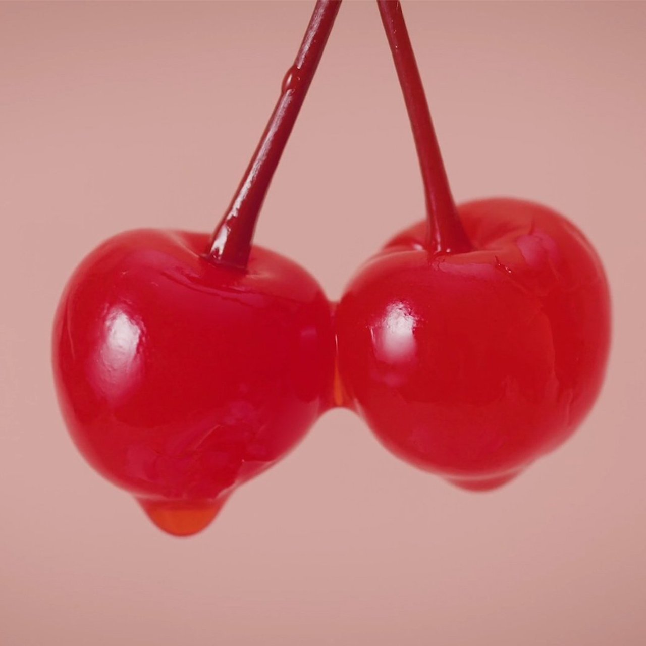 Peru Gallito de las Rocas